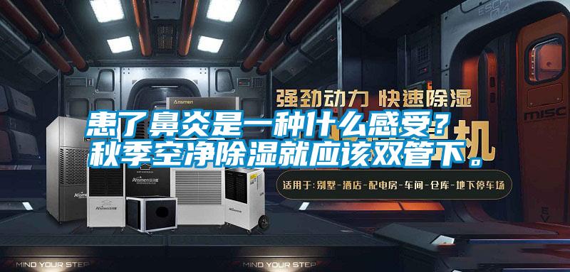 患了鼻炎是一種什么感受？ 秋季空凈除濕就應(yīng)該雙管下。