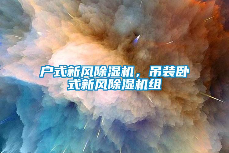 戶式新風(fēng)除濕機(jī)，吊裝臥式新風(fēng)除濕機(jī)組