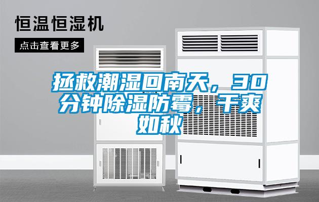 拯救潮濕回南天，30分鐘除濕防霉，干爽如秋