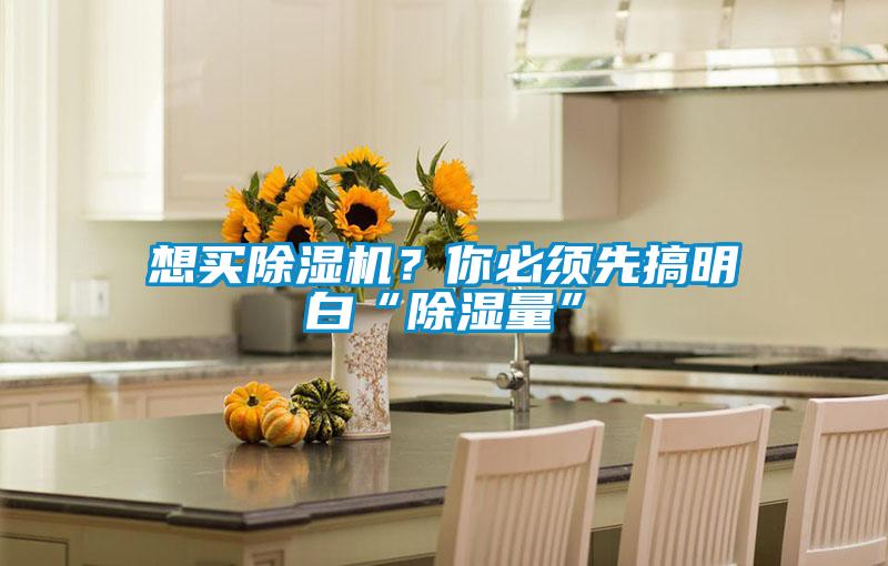 想買(mǎi)除濕機(jī)？你必須先搞明白“除濕量”