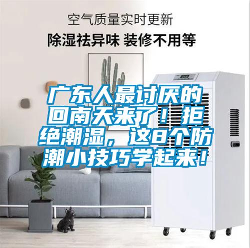 廣東人最討厭的回南天來了！拒絕潮濕，這8個(gè)防潮小技巧學(xué)起來！