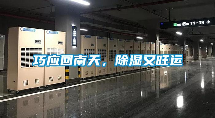 巧應(yīng)回南天，除濕又旺運(yùn)