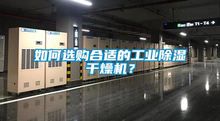 如何選購合適的工業(yè)除濕干燥機？