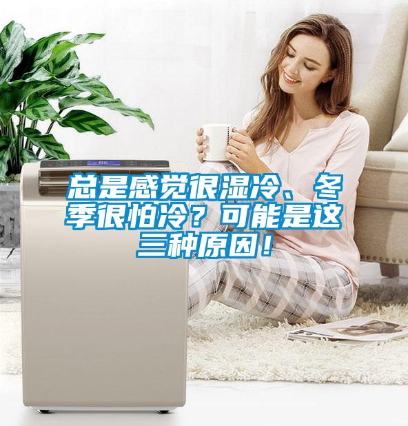 總是感覺很濕冷、冬季很怕冷？可能是這三種原因！