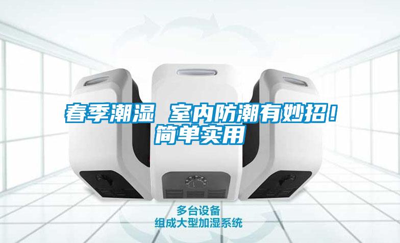 春季潮濕 室內(nèi)防潮有妙招！簡(jiǎn)單實(shí)用
