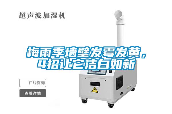 梅雨季墻壁發(fā)霉發(fā)黃，4招讓它潔白如新