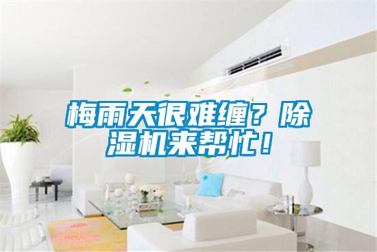 梅雨天很難纏？除濕機來幫忙！