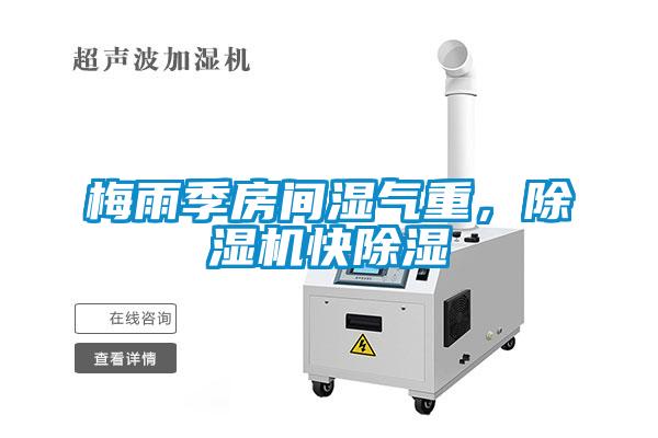 梅雨季房間濕氣重，除濕機快除濕