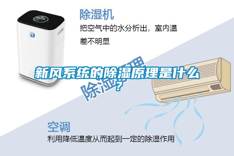 新風(fēng)系統(tǒng)的除濕原理是什么？