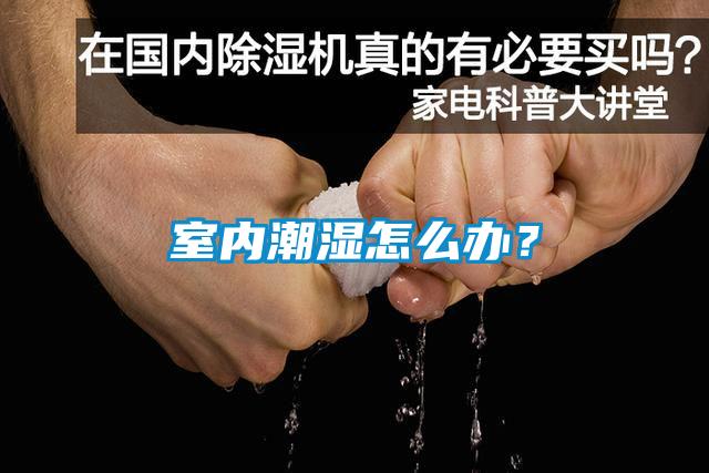 室內(nèi)潮濕怎么辦？