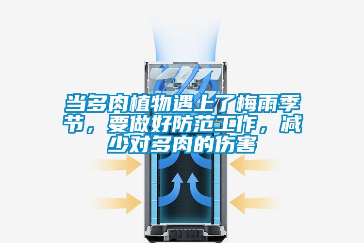 當(dāng)多肉植物遇上了梅雨季節(jié)，要做好防范工作，減少對(duì)多肉的傷害