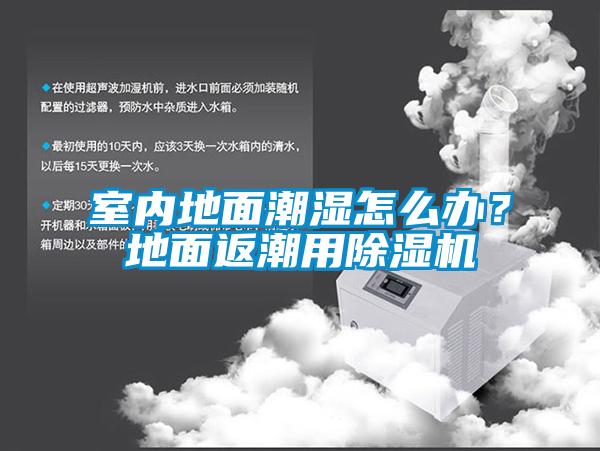 室內(nèi)地面潮濕怎么辦？地面返潮用除濕機