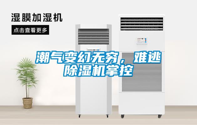 巧用車間除濕機，解決食品廠車間蒸汽問題