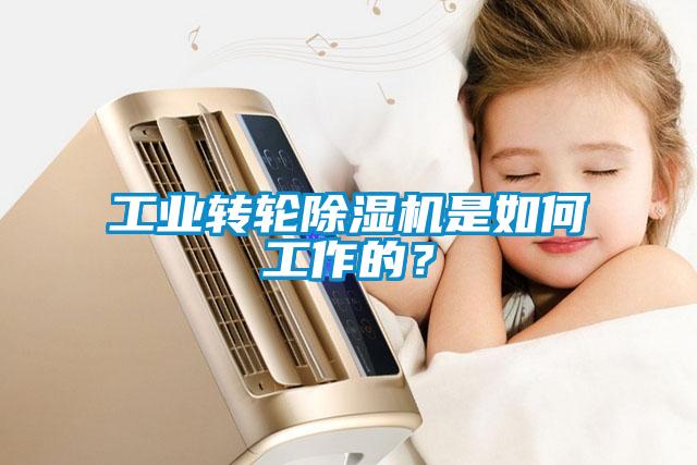 工業(yè)轉(zhuǎn)輪除濕機是如何工作的？