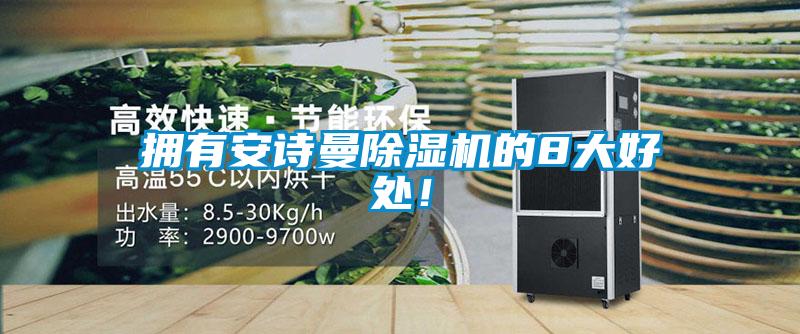 擁有安詩曼除濕機的8大好處！