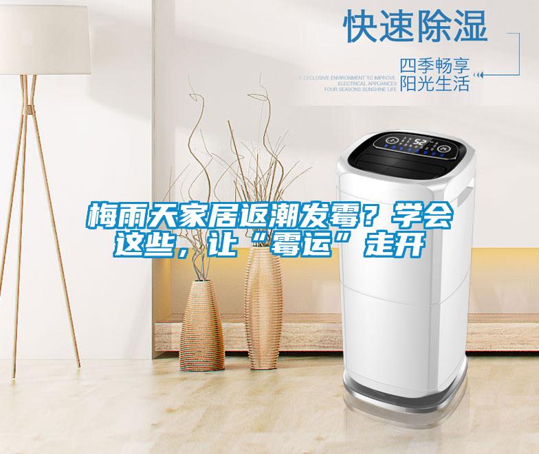 梅雨天家居返潮發(fā)霉？學(xué)會(huì)這些，讓“霉運(yùn)”走開