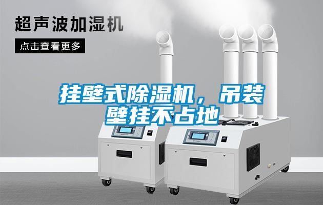 掛壁式除濕機，吊裝壁掛不占地