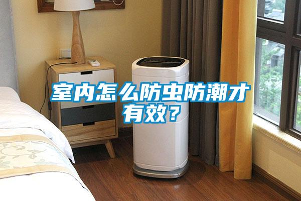 室內(nèi)怎么防蟲(chóng)防潮才有效？