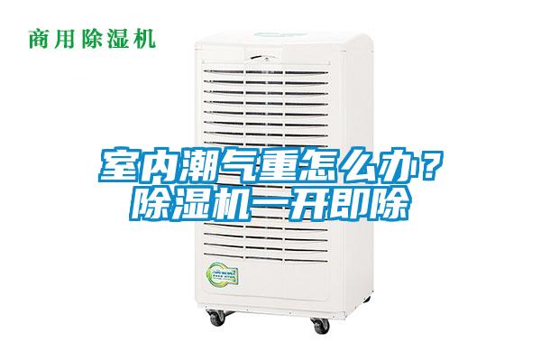 室內(nèi)潮氣重怎么辦？除濕機一開即除