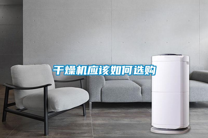 年年除濕年年濕，如何快速除濕？