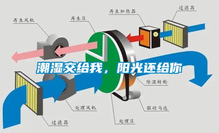 潮濕傷于無形，除濕機來防范