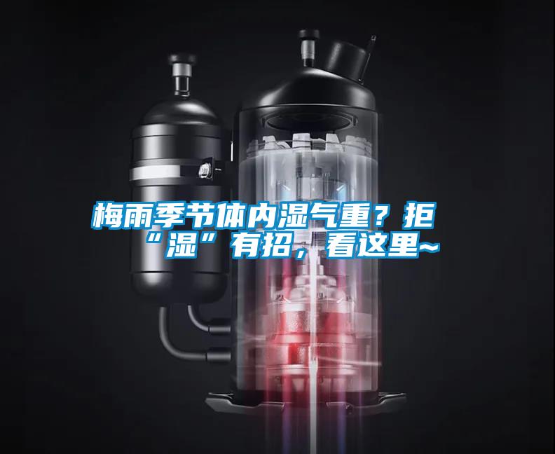 梅雨季節(jié)體內(nèi)濕氣重？拒“濕”有招，看這里~