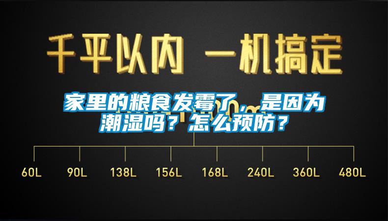 家里的糧食發(fā)霉了，是因為潮濕嗎？怎么預(yù)防？