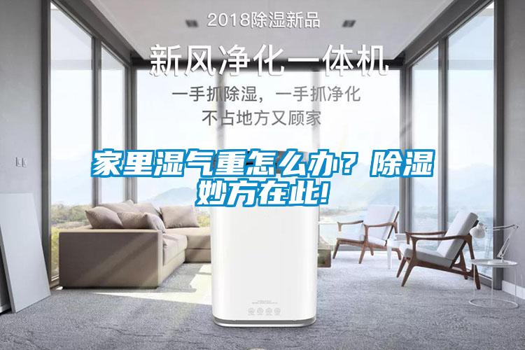 家里濕氣重怎么辦？除濕妙方在此!