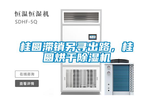 桂圓滯銷另尋出路，桂圓烘干除濕機