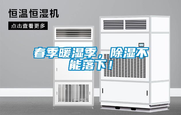春季暖濕季，除濕不能落下！