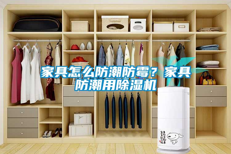家具怎么防潮防霉？家具防潮用除濕機(jī)