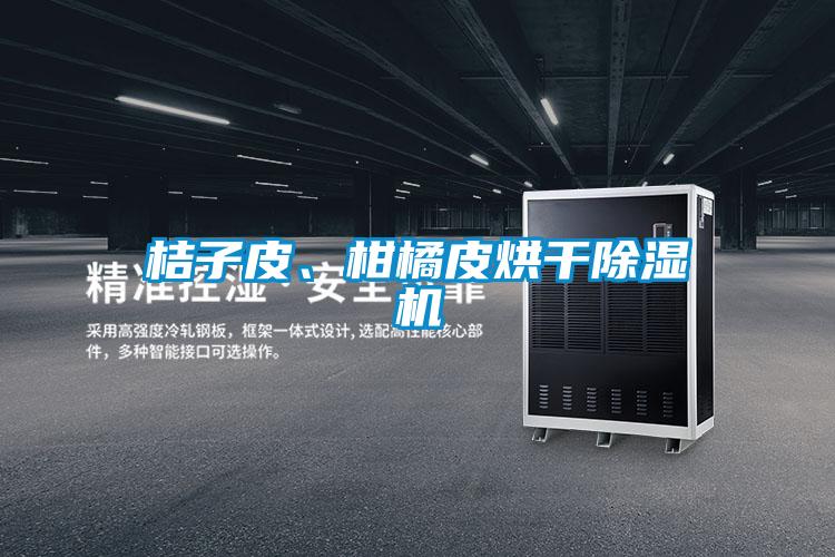 桔子皮、柑橘皮烘干除濕機