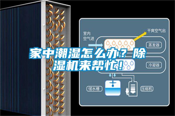 家中潮濕怎么辦？除濕機(jī)來幫忙！