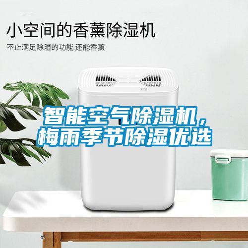 巴西菇、姬松茸烘干機-怎樣烘干色澤好且菇體褶片完整？