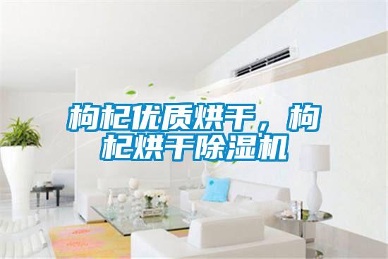 枸杞優(yōu)質(zhì)烘干，枸杞烘干除濕機