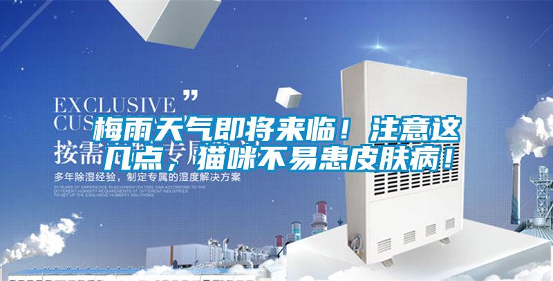 梅雨天氣即將來臨！注意這幾點，貓咪不易患皮膚?。?/></p>
						    <p style=