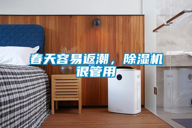 春天容易返潮，除濕機(jī)很管用