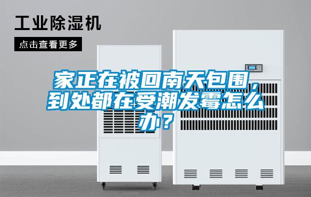 家正在被回南天包圍，到處都在受潮發(fā)霉怎么辦？