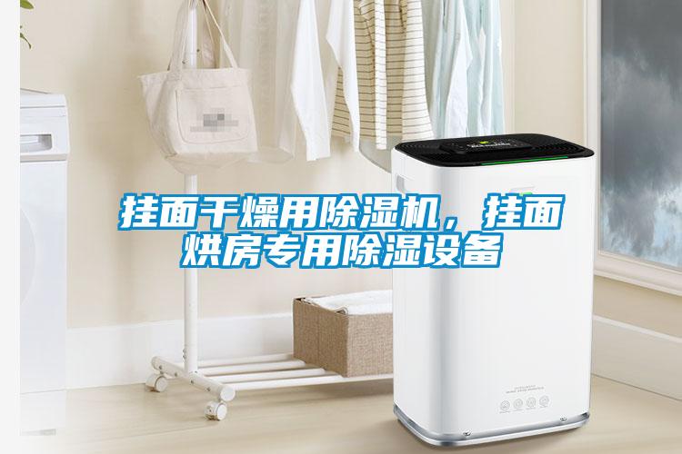 掛面干燥用除濕機，掛面烘房專用除濕設備