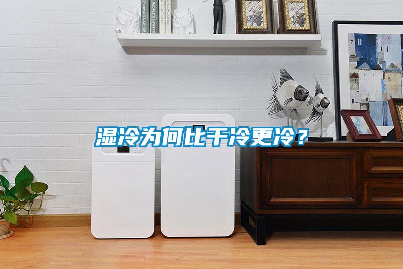 濕冷為何比干冷更冷？