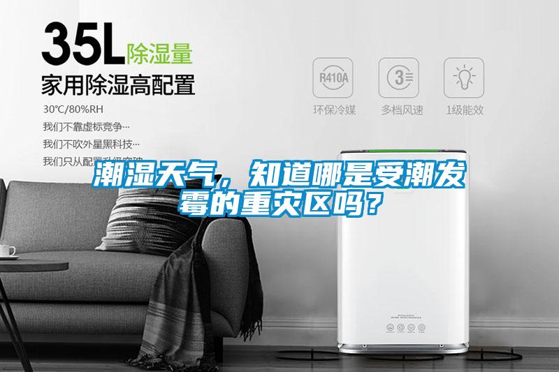 潮濕天氣，知道哪是受潮發(fā)霉的重災(zāi)區(qū)嗎？