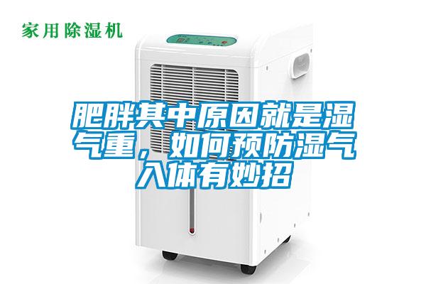 肥胖其中原因就是濕氣重，如何預(yù)防濕氣入體有妙招