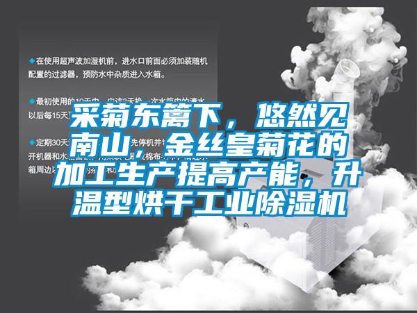 采菊東籬下，悠然見南山，金絲皇菊花的加工生產(chǎn)提高產(chǎn)能，升溫型烘干工業(yè)除濕機