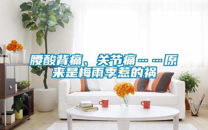 腰酸背痛、關(guān)節(jié)痛……原來是梅雨季惹的禍