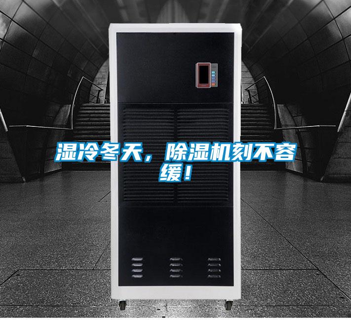 濕冷冬天，除濕機刻不容緩！