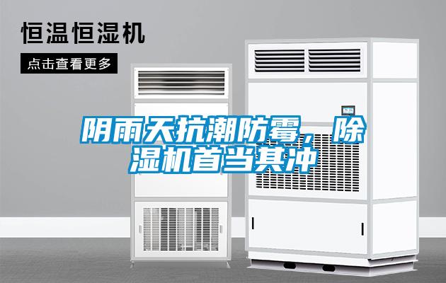 陰雨天抗潮防霉，除濕機首當(dāng)其沖