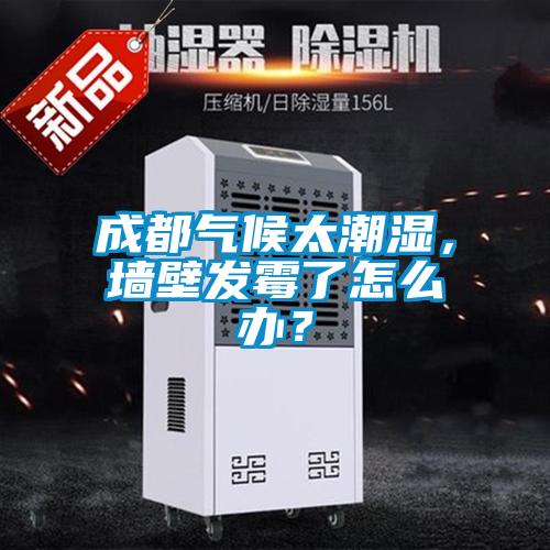 成都?xì)夂蛱睗瘢瑝Ρ诎l(fā)霉了怎么辦？