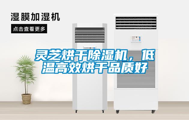 靈芝烘干除濕機(jī)，低溫高效烘干品質(zhì)好