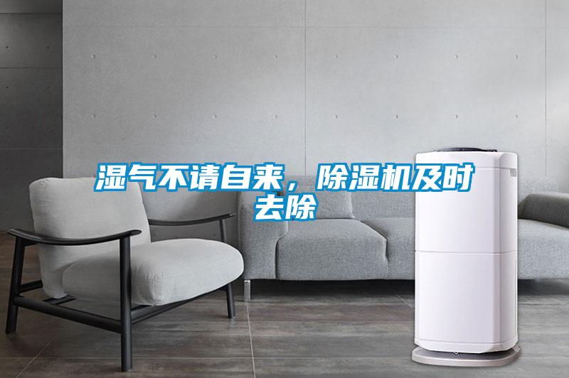 濕氣不請自來，除濕機(jī)及時(shí)去除
