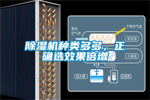除濕機(jī)種類多多，正確選效果倍增